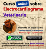Curso online  sobre Electrocardiograma Veterinario - Dr. Sergio Sanchez 2019