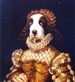 Retratos de mascotas - Francis de Blas - carlota