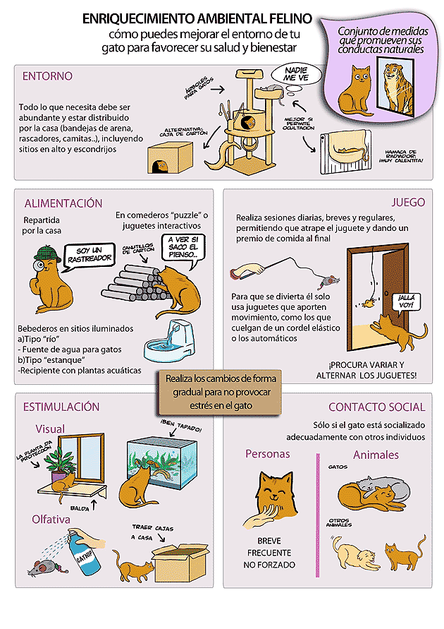 Enriquecimiento ambiental gatos