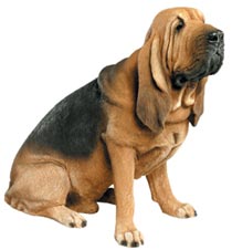 Júnior Marcar Egipto Razas de Perros: Bloodhound o perro rastreador - Mascotas Foyel