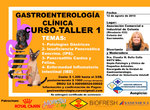 Curso y Taller de Gastroenterologia Clinica Veterinaria - Colonia - Uruguay