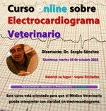 Curso online  sobre Electrocardiograma Veterinario