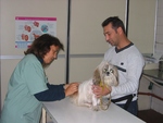 acupuntura veterinaria hospital dos