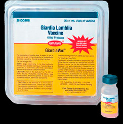 Vacuna giardia virbac - Warts on inside skin